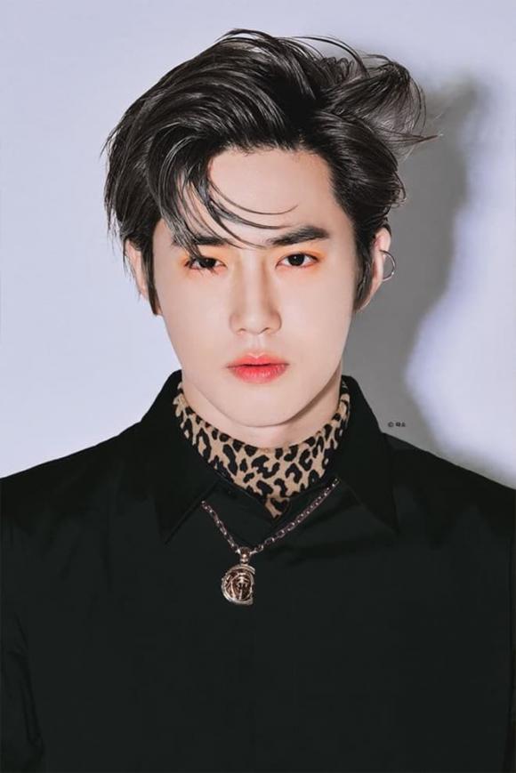 IU, người hâm mộ của IU, sao Hàn 