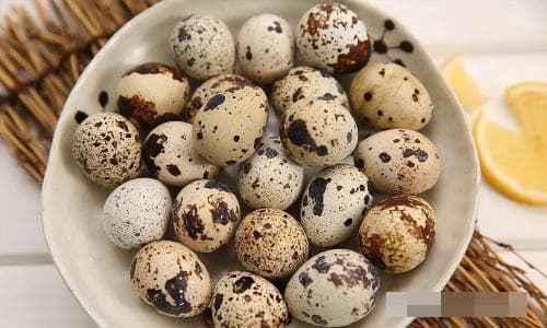 trứng, mua trứng, trứng gà, trứng vịt, trứng cút
