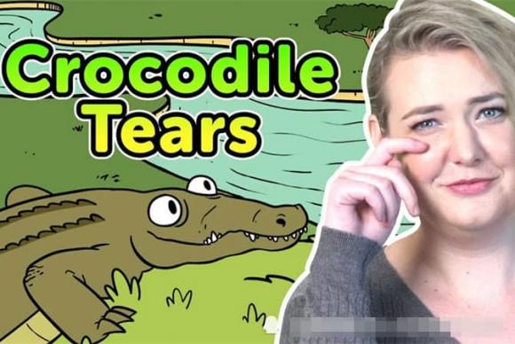 cá sấu, nước mắt cá sấu