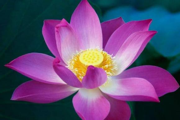 nói năng, kỹ năng giao tiếp, kinh nghiệm ứng xử