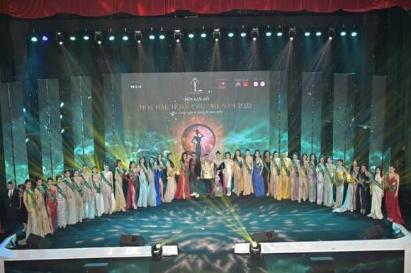 Hoa hậu Hoàn cầu Việt Nam 2022, Hoa hậu Việt