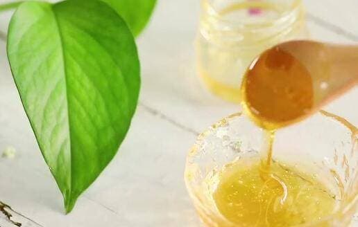 nha đam, mật ong, lô hội
