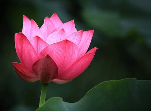 nói năng, kỹ năng giao tiếp, kinh nghiệm ứng xử