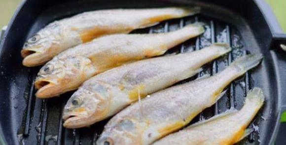 cá ngon, cá biển ngon, cách chọn cá ngon