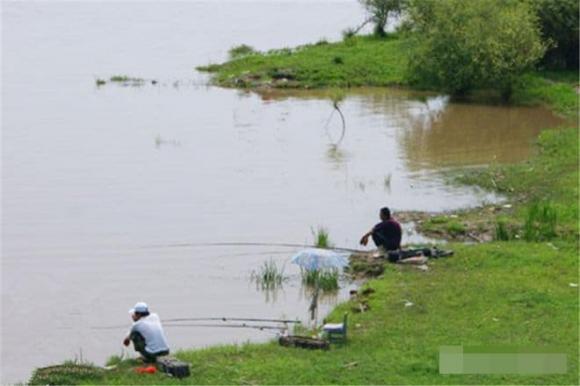 câu cá, câu cá mùa thu, mẹo câu cá, đi câu