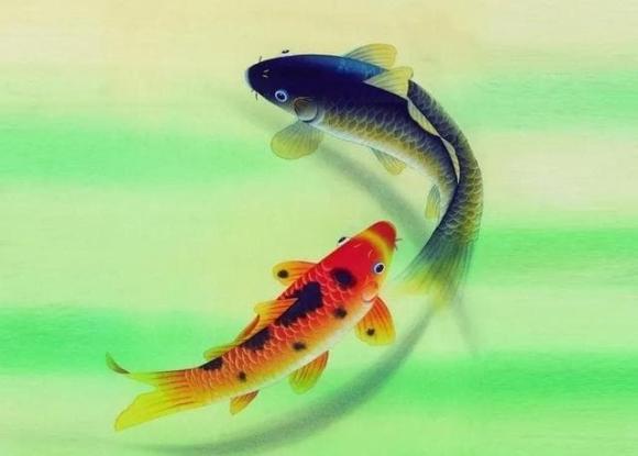 phong thủy, phong thủy con người, triết lý sống, triết lý