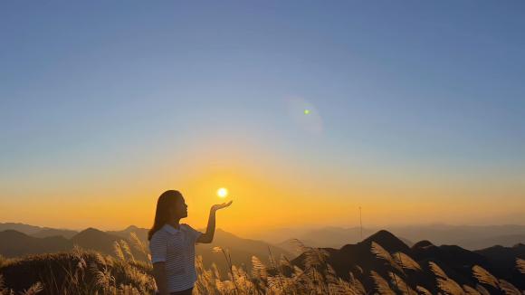 Quảng Ninh, Bình Liêu, cỏ lau Bình Liêu