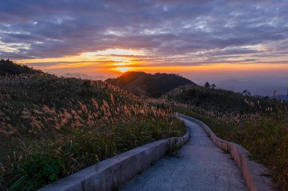 Quảng Ninh, Bình Liêu, cỏ lau Bình Liêu