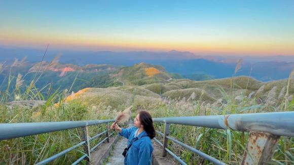 Quảng Ninh, Bình Liêu, cỏ lau Bình Liêu