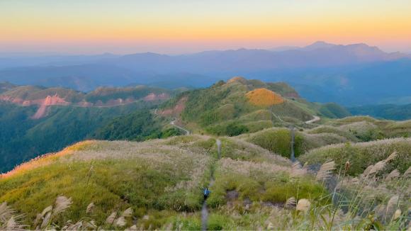 Quảng Ninh, Bình Liêu, cỏ lau Bình Liêu