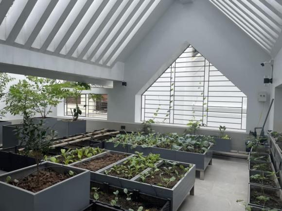 chung cư, nhà đất, nên ở chung cư hay nhà đất 
