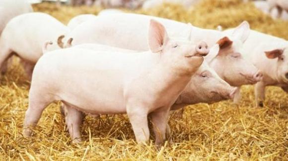 sự thật ít người biết, kiến thức
