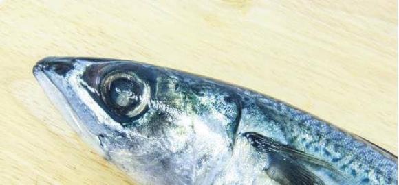 những loại cá nên mua, cá sạch, những loại cá sạch