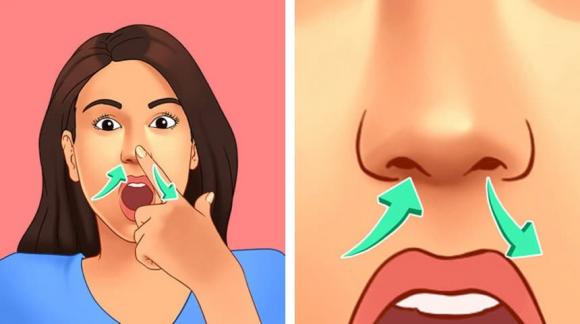 cơ thể người, bộ phận cơ thể thừa, nội tạng