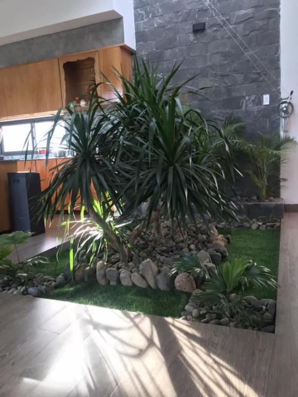 nhà cấp bốn, xây dựng nhà cấp bốn, nhà đẹp 