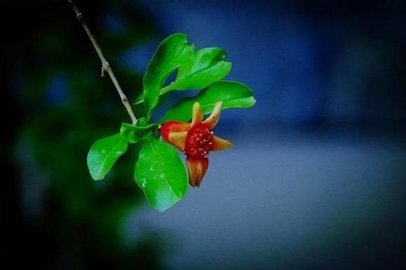  trí tuệ cảm xúc cao, xã giao, ứng xử, ngoại giao, thăm nhà