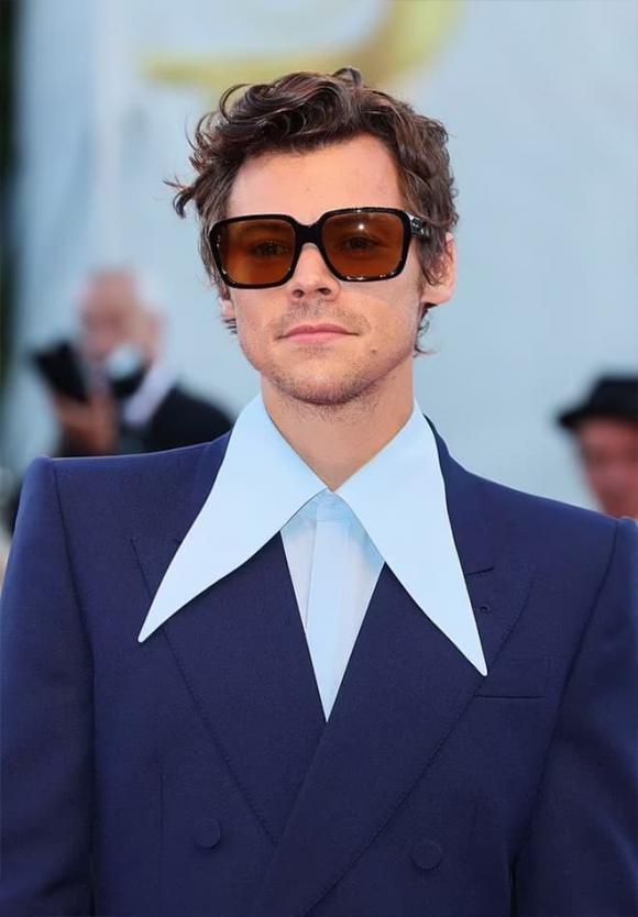 Harry Styles, Harry Styles giàu nhất nước Anh ở tuổi 28, sao Hollywood