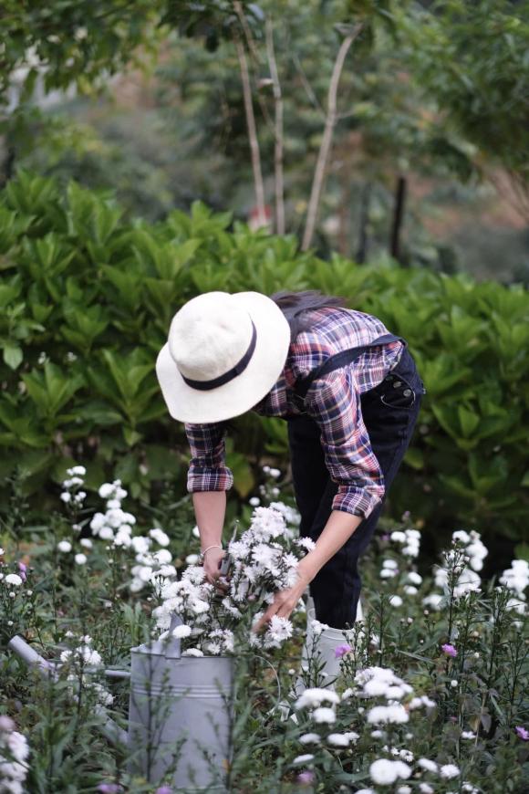 bỏ phố về quê, tự xây dựng trang trại, Đà Lạt