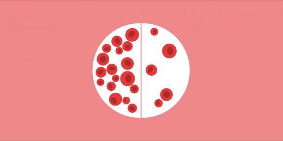 Extra Blood Support, Natural Pharm, thiếu máu thiếu sắt, Viên uống bổ máu