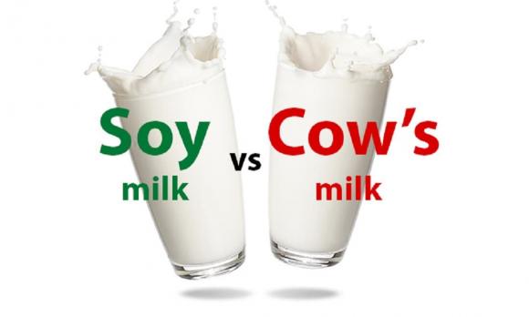 sữa bò, sữa đậu nành, sữa bò và sữa đậu nành, so sánh sữa bò và sữa đậu nành 