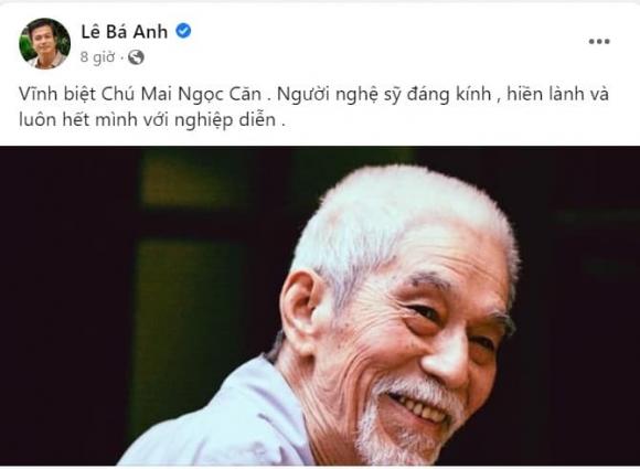 Mai Ngọc Căn, Mai Ngọc Căn qua đời, nghệ sĩ Mai Ngọc Căn