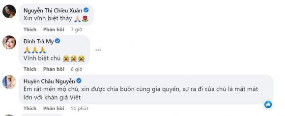 Mai Ngọc Căn, Mai Ngọc Căn qua đời, nghệ sĩ Mai Ngọc Căn
