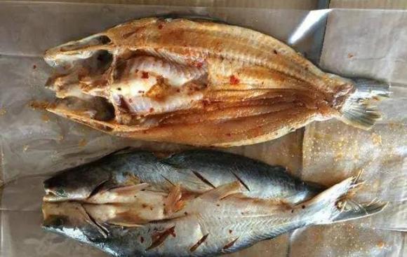 những loại cá không nên ăn nhiều, những loại cá không tốt cho sức khỏe, lưu ý khi ăn cá