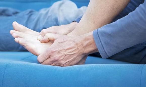dạ dày, dạ dày heo, dạ dày lợn