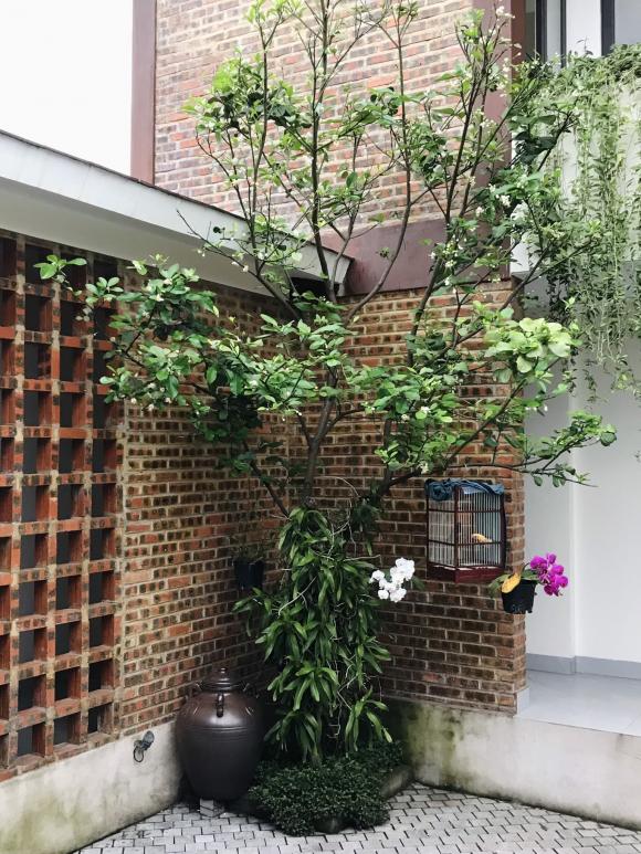 xây nhà báo hiếu, xây nhà cho bố mẹ, nhà đẹp