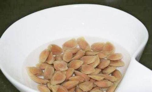 cây cảnh, cây chanh leo