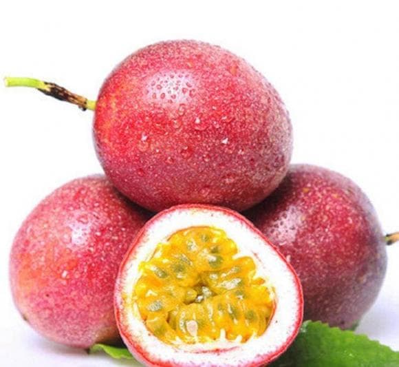 cây cảnh, cây chanh leo