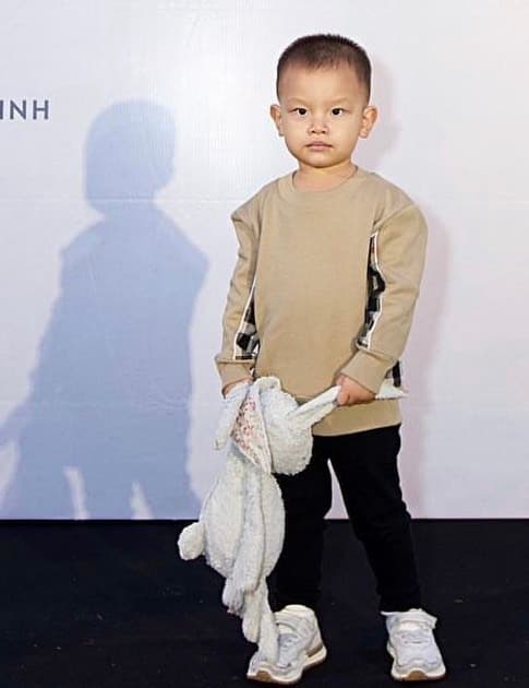 nữ ca sĩ hồ ngọc hà,ca sĩ Hồ Ngọc Hà,diễn viên Kim Lý,cặp song sinh nhà Hà Hồ,sao Việt