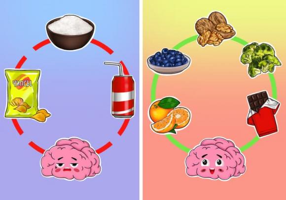 thực phẩm, thực phẩm cải thiện trí nhớ, thực phẩm bổ não