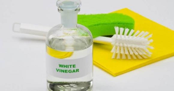 cách diệt kiến