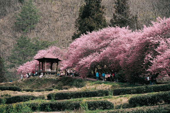 Du lịch Đài Loan, E-visa Quan Hồng, TransViet Travel