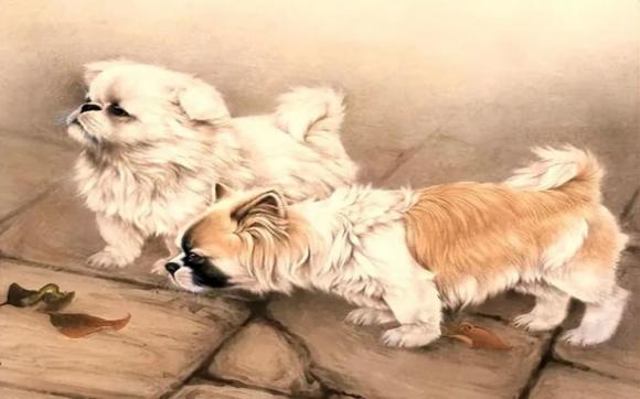 tử vi, con giáp, tuổi già