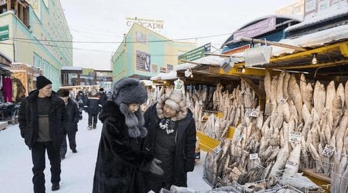 chợ cá, cá đông lạnh, nơi lạnh nhất thế giới, Yakusk, Nga, Thành phố lạnh nhất thế giới