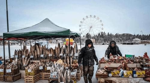 chợ cá, cá đông lạnh, nơi lạnh nhất thế giới, Yakusk, Nga, Thành phố lạnh nhất thế giới