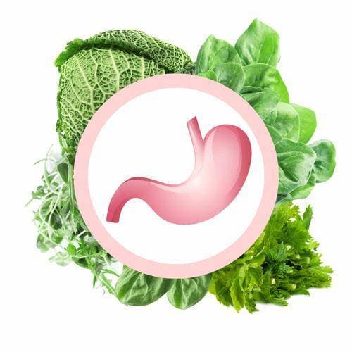 Nuôi dưỡng dạ dày cải bắp mứt quả bí ngô khoai lang