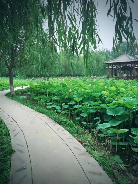cuộc đời cần biết điều này, cuộc sống quanh ta, những người đủ thông minh