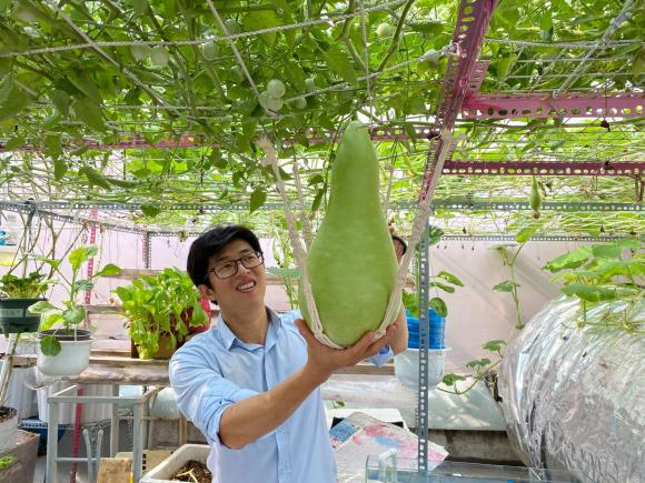 trồng rau sân thượng, trồng rau, bí quyết trồng rau