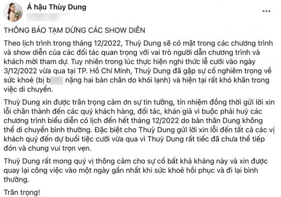 á hậu Thùy Dung, sao Việt