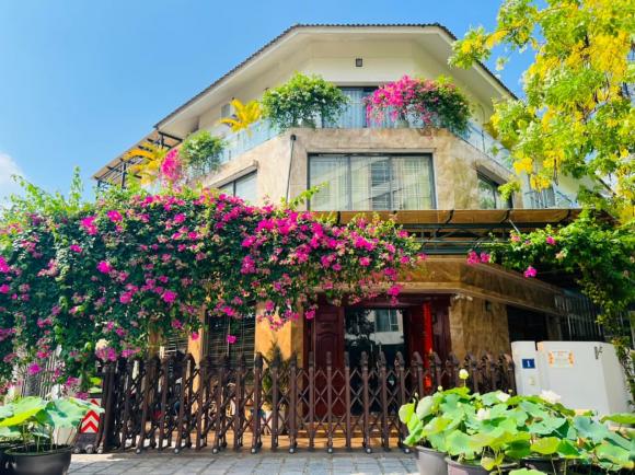 biệt thự, nhà đẹp, hoa hồng cổ