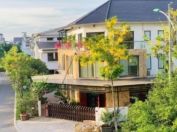 biệt thự, nhà đẹp, hoa hồng cổ