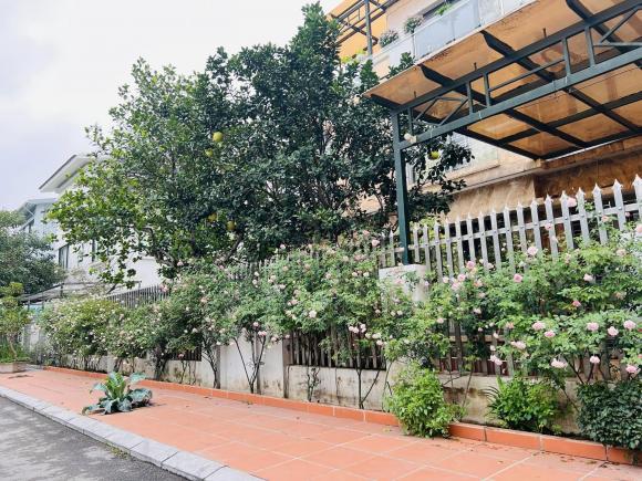 biệt thự, nhà đẹp, hoa hồng cổ