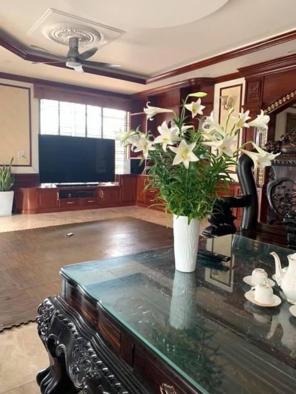 biệt thự, nhà đẹp, hoa hồng cổ
