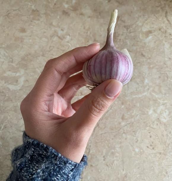 người ý, phong cách Ý, mì ý