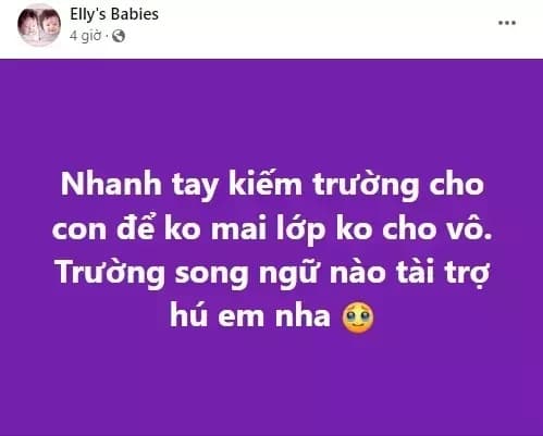 Trước đó, Elly Trần cũng từng bị công kích vì tìm trường tài trợ học phí cho 2 con.