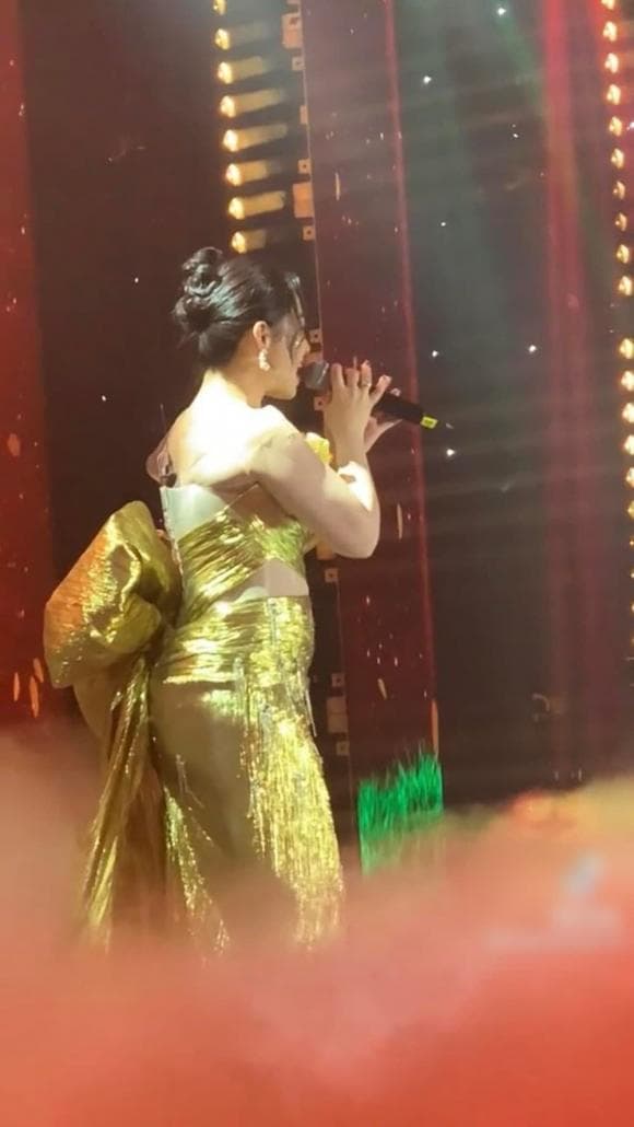 Ca sĩ Lương Bích Hữu,sao Việt