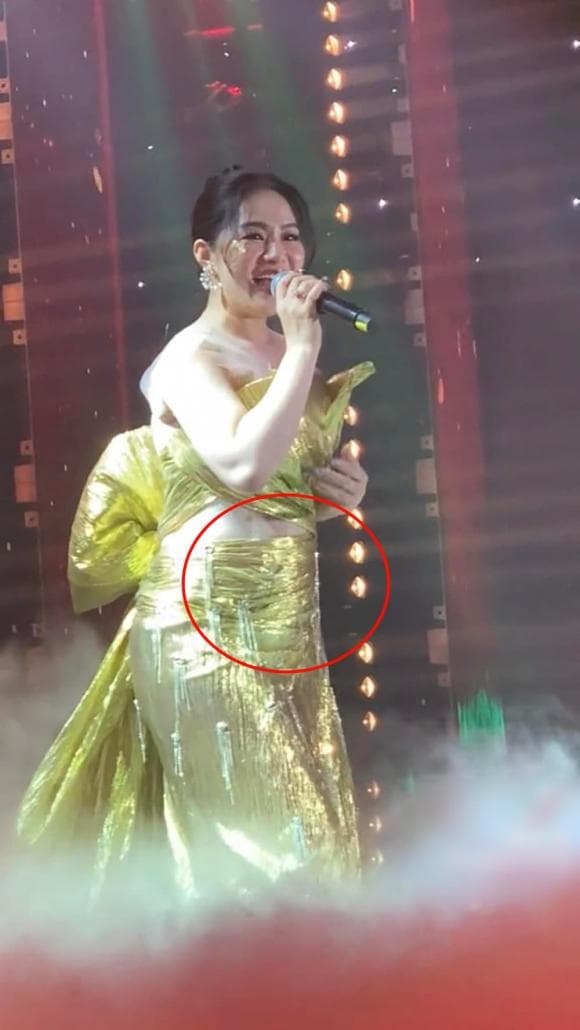 Ca sĩ Lương Bích Hữu,sao Việt